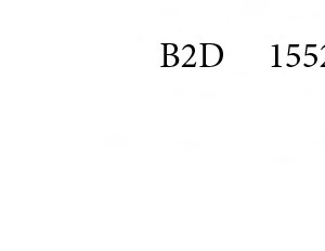 B2C